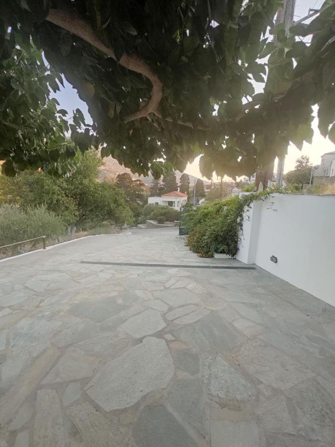 Villa House Moschα Ándros Esterno foto