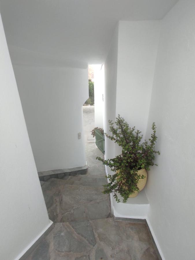 Villa House Moschα Ándros Esterno foto